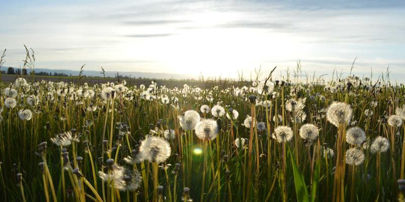 ESG浪潮下，企业环境信息披露的法律义务与诉讼风险应对——兼论知识产权与专利申请的战略价值
