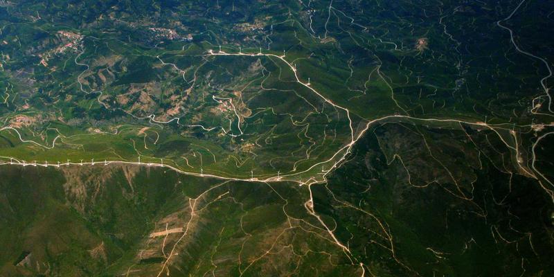 上市公司信息披露违规：法律责任、版权保护风险与首信律所的专业防范建议