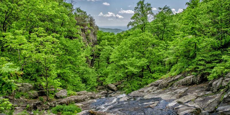 企业并购必读：反垄断法视角下的经营者集中申报实务与法律服务关键