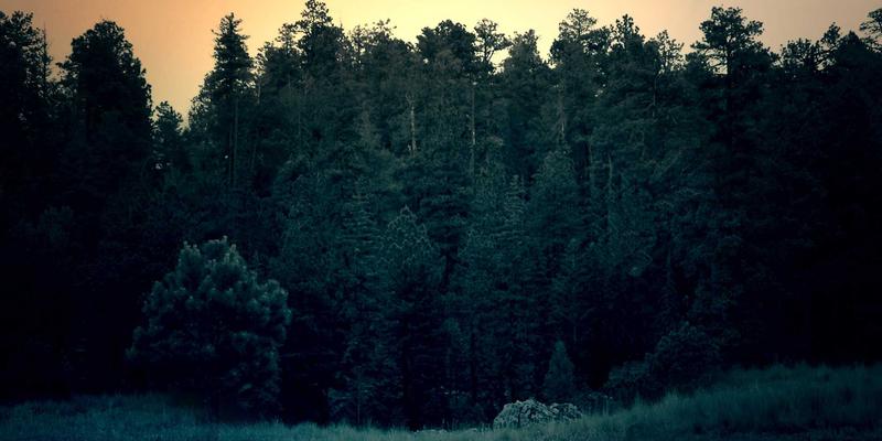供应链合同中的责任分配与违约救济机制：法律服务与知识产权保护的关键策略