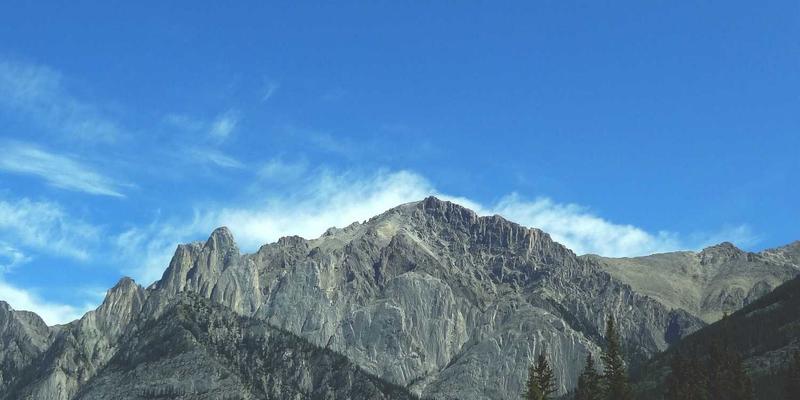 劳动争议仲裁前必备法律服务准备：从专利申请到版权保护的全面策略