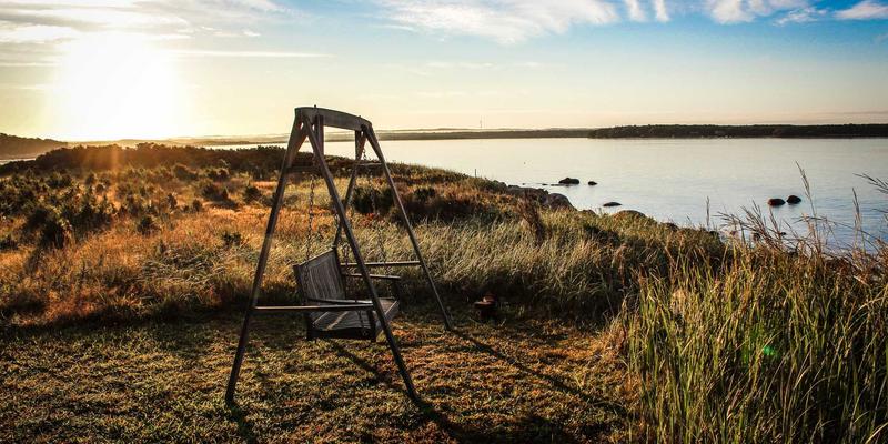 医疗事故纠纷中专业法律服务的介入时机：首信律所解析关键节点与证据保全