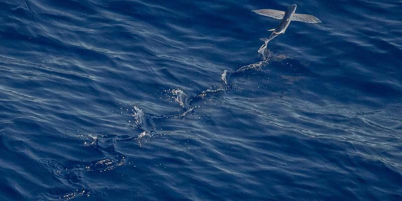 医疗健康投融资法律尽调：聚焦知识产权与版权保护的特殊考量