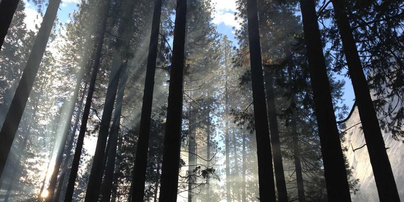 商标注册与版权保护：首信律所解读企业法律护城河的构建之道