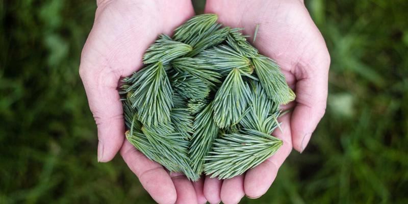 数据出境合规新挑战：企业如何借助法律咨询与专利申请应对《数据安全法》与《个人信息保护法》