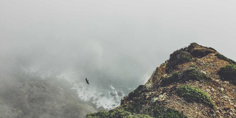 数据出境安全评估：企业法律咨询、商标注册与版权保护的合规新挑战