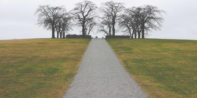 新《公司法》下董事、监事、高管责任风险与履职保障：法律服务与版权保护的关键指引