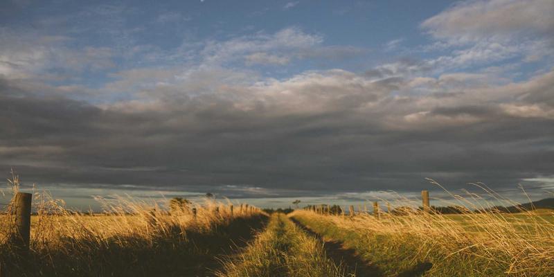 法律服务49:构建创新护城河——版权保护与专利申请的协同策略