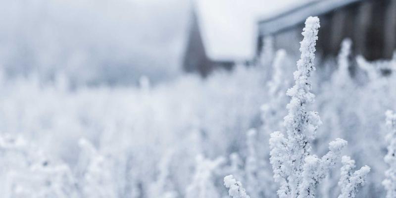 法律服务83：版权保护与法律咨询，构筑企业创新发展的双重护城河