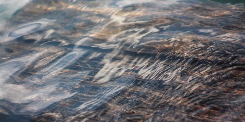 法律服务怎么用？从商标注册到知识产权保护的实用指南