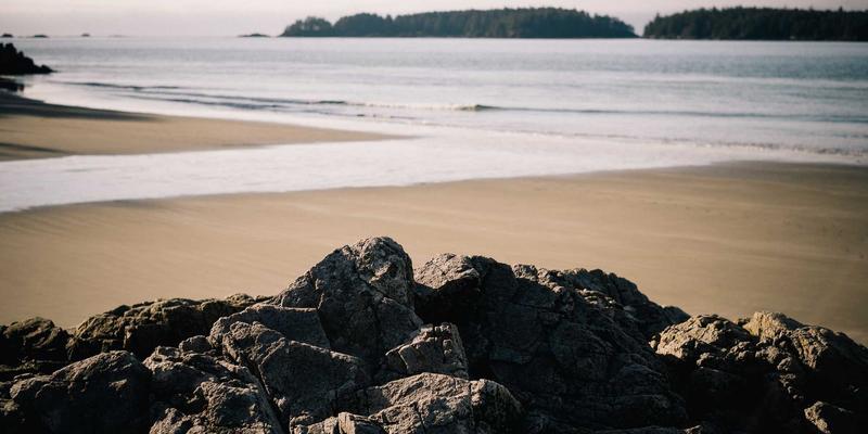 法律服务新蓝海：版权保护与商标注册如何驱动企业未来增长