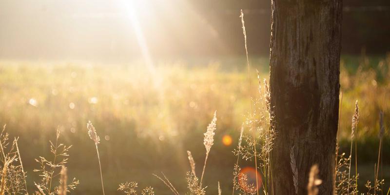 法律服务是什么？从法律咨询到专利申请的全面解析
