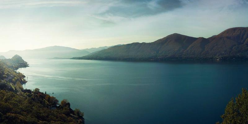 破产程序中待履行知识产权合同的处理规则与债权人选择策略 | 版权保护与法律实务