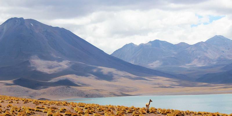 首信律所解读：商业秘密保护与竞业限制协议设计的法律策略及知识产权布局